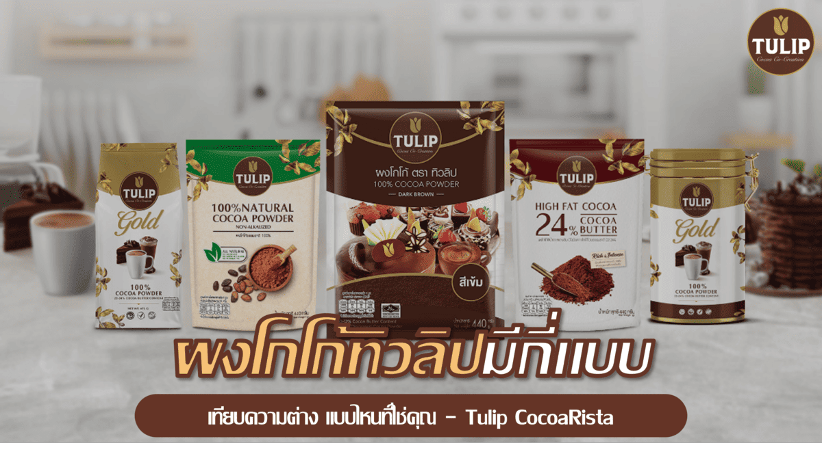 ผงโกโก้ทิวลิปมีกี่แบบ? เทียบความต่าง แบบไหนที่ใช่คุณ