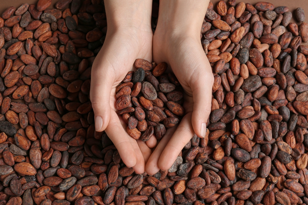 อุดมด้วยสารต้านอนุมูลอิสระ