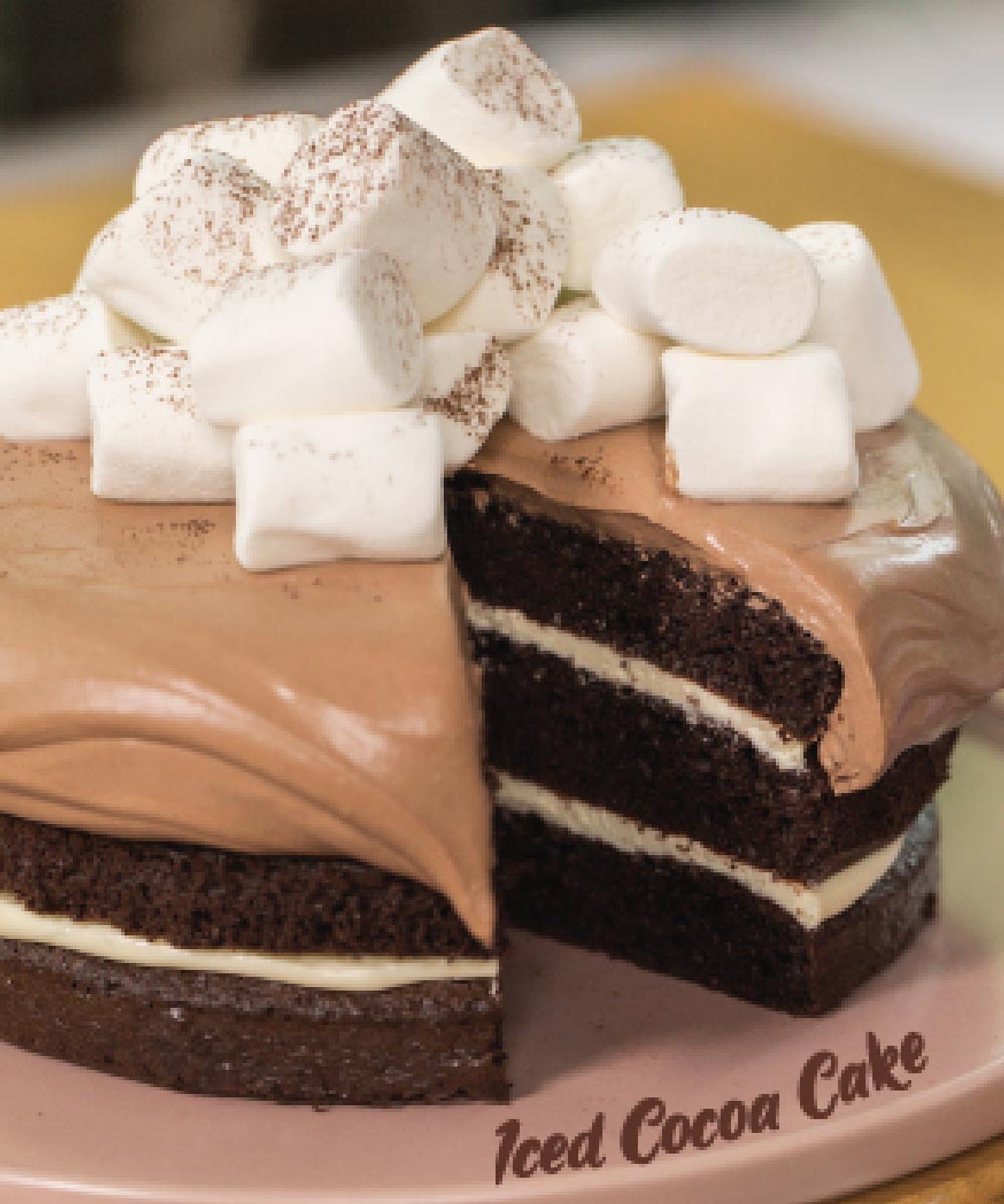 Iced Cocoa Cake